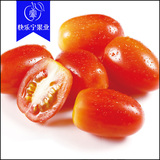 【快乐宁果业】优选海南千禧小番茄 7斤左右 新鲜水果圣女果