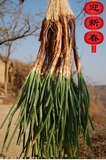 农家青菜陕北定边特产红葱新鲜蔬菜自产有机大葱500g特价促销