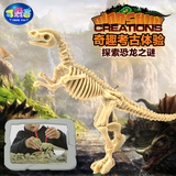 可爱客 考古挖掘玩具 手工DIY恐龙化石挖掘拼装模型益智创意礼物