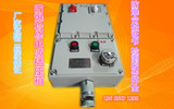 正品低价 优质BXS系列防爆检修电源插座箱/防爆插销箱/防爆控制箱
