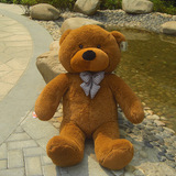 泰迪熊公仔1.2米布艺布娃娃抱抱熊玩偶PP棉毛绒玩具生日礼物女友