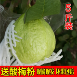 农家果园现摘现发台湾珍珠芭乐番石榴新鲜水果特产5斤装孕妇水果
