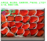 满5送1满10送3赠品同款，新鲜水果章姬奶油草莓大果1.5kg