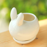热卖 新品多肉植物花盆 ZAKKA 白色陶瓷花盆 兔子 小白兔 摆件