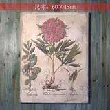 精点家居 外贸装饰画复古做旧麻布画LOFT美式乡村草本植物花卉画