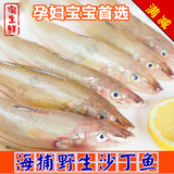 野生沙丁鱼 鲜活新鲜海鲜鱼类海鱼鲜鱼生鲜水产12只左右一斤拍2