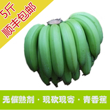 广东高州农家香蕉新鲜无催熟剂非海南小米蕉 顺丰空运包邮5斤起