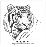 老虎头白描动物花鸟画工笔画底稿线描稿电子版国画素材15