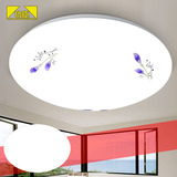 LED吸顶灯圆形客厅卧室房间阳台过道走廊楼梯餐厅厨房卫生间灯具