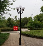 定制 3米3.5米户外欧式3头5头2头圆球玉兰公园景观庭院灯公园路灯