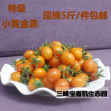 【三峰宝】有机小黄金果番茄西红柿子圣女果新鲜水果蔬菜特价包邮
