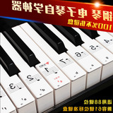 无胶吸附型88键 61键透明五线谱简谱琴键贴纸钢琴 电子琴键盘贴