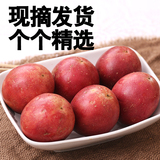 新鲜特产水果百香果3斤精选农家鸡蛋果西番莲广西大果多省包邮