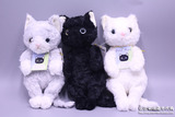 现货包邮/日本代购 仿真小猫咪猫公仔毛绒玩具玩偶手偶 日本制造