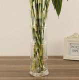 透明玻璃花瓶特大号富贵竹50厘米落地花瓶，百合水培加厚客厅摆。