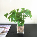 仿真绿色植物小盆景 办公室桌面假花透明玻璃花瓶花艺 装饰品摆件