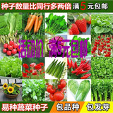 四季蔬菜种子包邮小白菜香菜萝卜辣椒黄秋葵草莓茄子香葱韭菜苦瓜