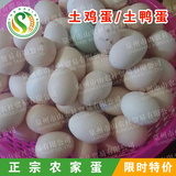 【山农社特产】正宗农家土鸡蛋鸭蛋农村散养新鲜鸡蛋鸭蛋正品30枚