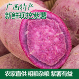 新鲜现挖广西特产紫薯玉林红薯番薯 农家自种杂粮小紫薯生地瓜5斤