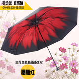 晴雨伞折叠三折小黑伞雏菊太阳伞女 防晒黑胶遮阳伞防紫外线雨伞