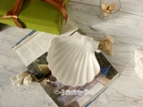 海声。外单外贸陶瓷地中海洋贝壳扇贝皂盒烟灰缸烛台首饰盘摆件