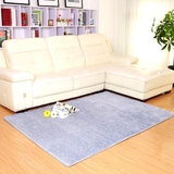 边欧式地毯特价韩国丝弹力丝地毯加密客厅简约茶几卧室床
