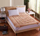 冬季保暖法莱绒珊瑚绒法兰绒床垫席梦思保护垫可折叠床上用品特价