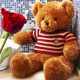 泰迪熊抱抱熊可爱熊猫玩偶公仔大号布娃娃毛绒玩具熊女生生日礼物