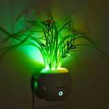 创意光控感应LED七彩小夜灯绿色植物盆栽 夜光节能插电起夜床头灯