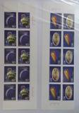 邮票 1999-16 科技成果厂铭五连（实物图）-B1