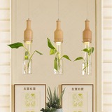 创意 艺术吊灯 DIY水养绿植物三头餐吊灯 现代简约楼梯间餐厅吊灯