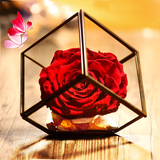 永生花礼盒七彩玫瑰玻璃罩进口保鲜花女友小熊生日结婚纪念日礼物