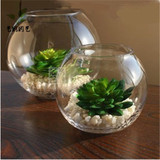 小号玻璃圆球花瓶创意鱼缸植物水培花盆 绿萝铜钱草透明鱼缸 装饰