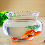 圆形花边透明玻璃金鱼缸乌龟缸桌面小型水培花瓶水培绿萝花盆p309