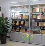上海证书展示柜文件柜办公室货架资料展柜玻璃陈列柜商用汽车配件
