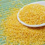 山东特产优质小米绿色产品农家食品黄小米粗粮任小米250g 5斤包邮