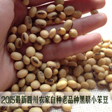 2015年新货土黄豆四川农家自种老品种黑脐小黄豆非转基因能发芽