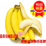 杭州同城配送 新鲜水果 特价 海南香蕉 banana  500克