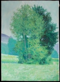 西洋老油画 - 20世纪下半叶风景油画《大树》