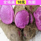 蔬菜新品种 紫山药种子 紫淮山种子 滋阴蔬菜种子花卉种子