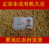 东北大豆 黑龙江特产黄豆农户自产自销非转基因豆浆豆芽