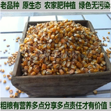 农家自种老品种玉米粒豆浆伴侣鸽子饲料五谷杂粮批发满52包邮