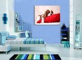 客厅装饰画现代简约单张卧室无框壁画水晶画可爱动物狗狗挂画