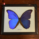 泰国进口实木边框真蝴蝶标本大蓝闪蝶客厅沙发装饰画欧式画框礼物