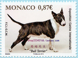 摩纳哥 国际宠物狗展：牛头梗犬（2014） 1全