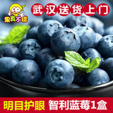 【果真不错】智利蓝莓 进口新鲜蓝莓浆果很甜 新鲜水果 125克/盒