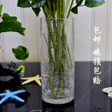 包邮透明玻璃花瓶大号富贵竹百合欧式大水培花器水晶玻璃花瓶摆件