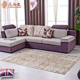 品牌直售尼西米土耳其进口地毯 卧室地毯客厅 茶几地毯 超薄沙发