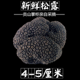 出口级贡山野生新鲜黑松露菌猪拱菌块菌4-5厘米500g顺丰包邮