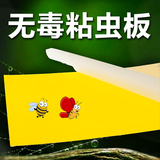 粘虫黄板粘虫板灭蝇灯专用小飞虫粘蚊板粘蝇板粘蝇纸灭苍蝇贴